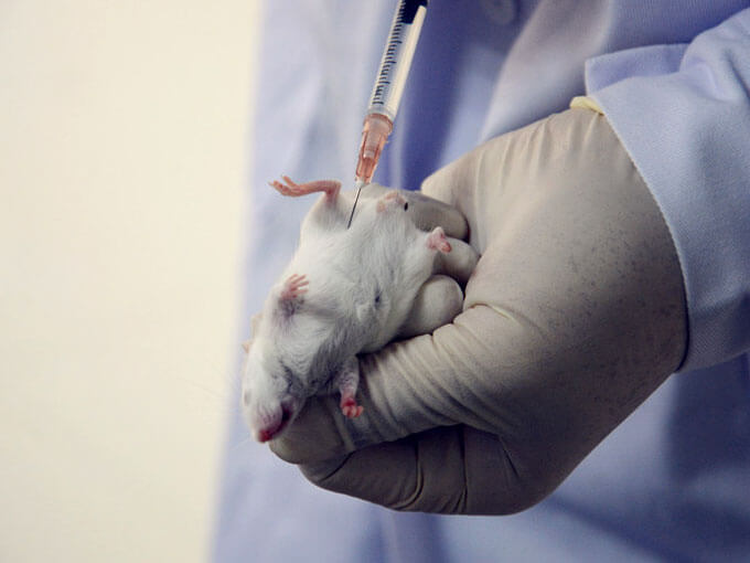 缺乏生物相容性试验的涂层技术导致年使用量不足 缺乏生物相容性试验的涂层技术导致年使用量不足